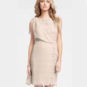 Ann Taylor Blush Modern Lace Sheath Knee Length Dress 12